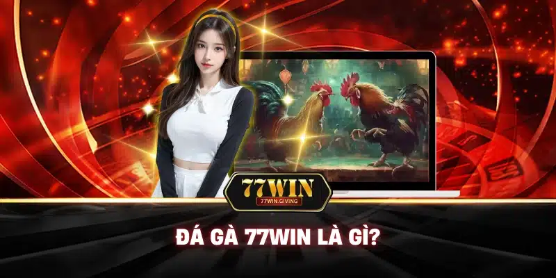 Đá Gà 1 Đá Gà 77Win Là Gì?