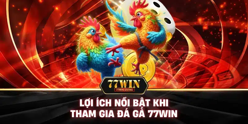 Đá Gà 2 Lợi Ích Nổi Bật Khi Tham Gia Đá Gà 77Win