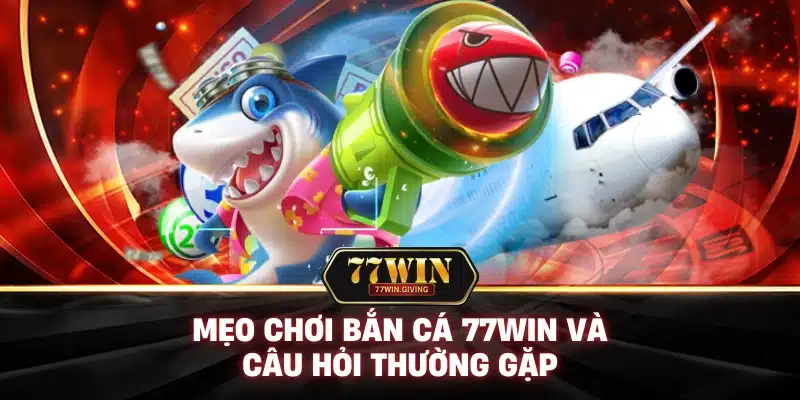 Mẹo Chơi Bắn Cá 77win Và Câu Hỏi Thường Gặp