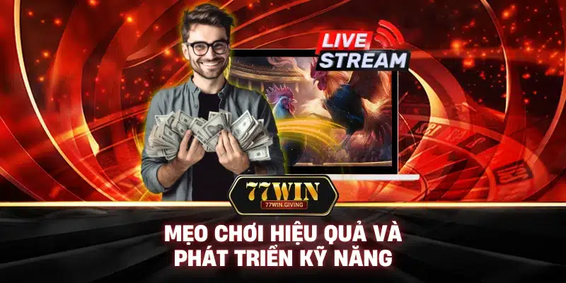 Đá Gà 3 Mẹo Chơi Hiệu Quả Và Phát Triển Kỹ Năng